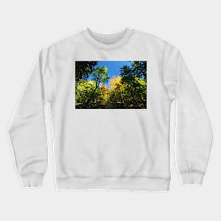 Beskidy mountains Crewneck Sweatshirt